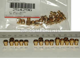 Комплект жиклеров на балонный газ 17шт Indesit C00254296
